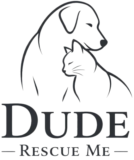 Logo of Dude Rescue Me